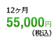 月額54,000円(税込)